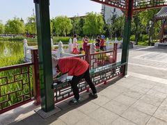 -西海子公园