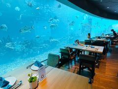 大堂-海棠湾洲际-涛·海底餐厅·美人鱼·自助餐·海底隧道