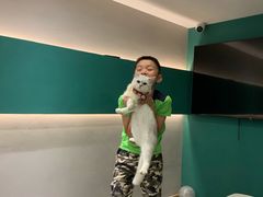 -飞行喵MR PILOT|猫舍·猫咖(静安大融城店)