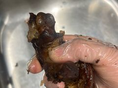 -吴山烤禽 (吴山路店)