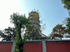 -天津大悲禅院