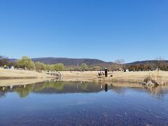 -食乐佳麻辣香锅(森林摩尔商业街区店)