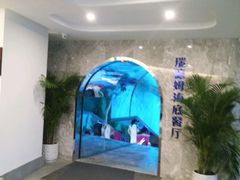-瑞德姆美人鱼海底演艺主题餐厅(亚龙湾店)