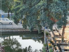 -烟桥私房菜馆(奋哥)