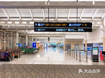 居然在杭州的机场遇到了在深圳已经绝迹了的「仙踪林」！