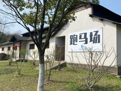 -杭州湾海上花田景区