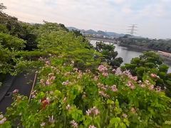 -水濂山森林公园