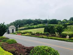 -棒棰岛宾馆景区