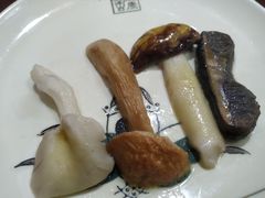 -菌之家·专业纯野生菌火锅·特色炒菌