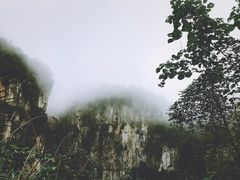 景点-重庆武隆天生三桥风景区-神鹰天坑