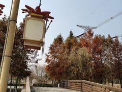 -长田漾湿地公园