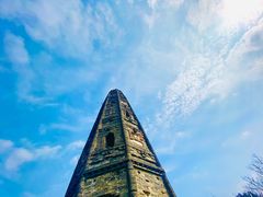 -上海佘山国家森林公园天马山园