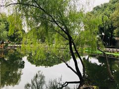 -月湖公园