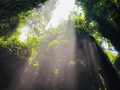 -梦幻奥陶纪景区