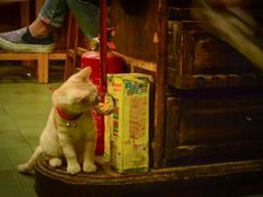 -丽纳尔斯酒吧LENORE’S BAR(三经街店)