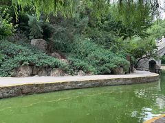 -团结湖公园