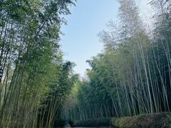 -苏州环秀晓筑养生度假村