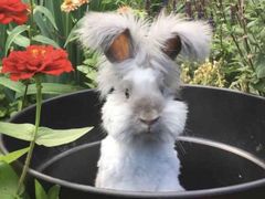 -麻小劲菌汤麻辣烫(体育西路店)