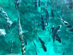 -蓝湾海滩