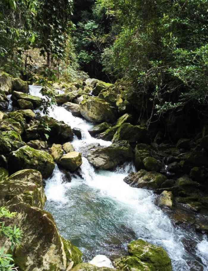 古龙河漂流-"位于清新县三坑滩(沿旧107国道迳口入两.