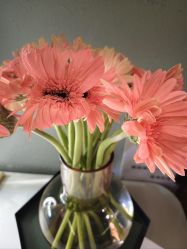 -花隐·美芙炫海菲秀皮肤管理中心