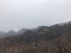 -天女山森林公园