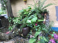 -园林美食城·本土农家菜(杨和镇店)