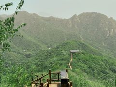 -大岭沟猕猴桃谷风景区