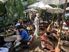 -Fern Forest Cafe