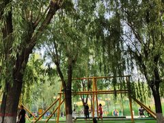 -北戴河集发农业梦想王国