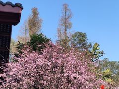 -水碾河刘老大串串香(水碾河路店)