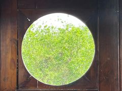-中天楼
