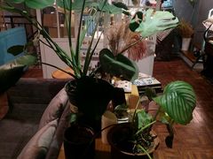 -84那年咖啡馆(李沧万达店)