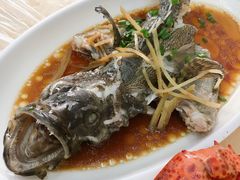清蒸石斑鱼-忆海南海鲜(椰风巷第一市场店)