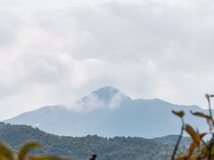 -马峦山郊野公园