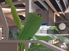 -湊湊火锅·茶憩(皇姑万象汇店)