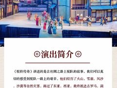 -《驼铃传奇》秀