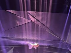 -重庆国际马戏城