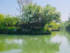 -西溪国家湿地公园