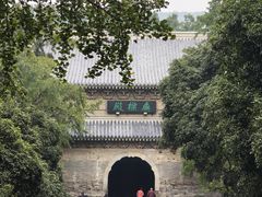 -灵谷景区