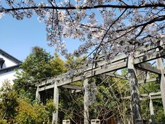 -百花洲