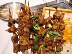 -山野的朋友露营炭火烤肉