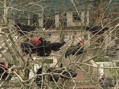 -南京金牛湖风景区