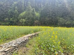 -常德桃花源景区