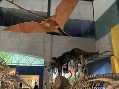 -湖南省地质博物馆