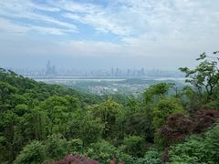 -岳麓山风景名胜区