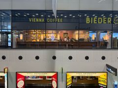 -维也纳国际机场