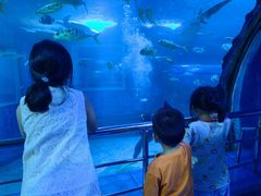 -太平洋海底世界