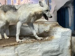 -南京海底世界