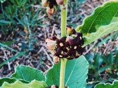 -鹫峰国家森林公园